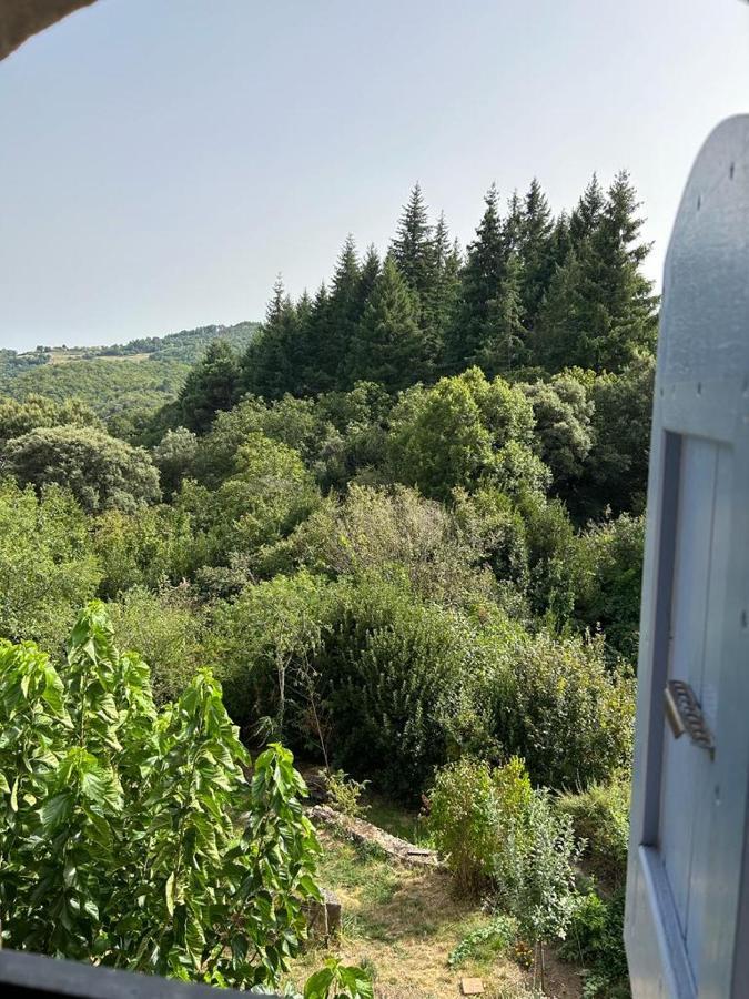 Mas Le Canton Saint-Jean-du-Gard Εξωτερικό φωτογραφία