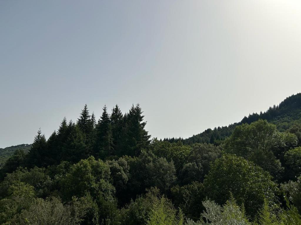 Mas Le Canton Saint-Jean-du-Gard Εξωτερικό φωτογραφία